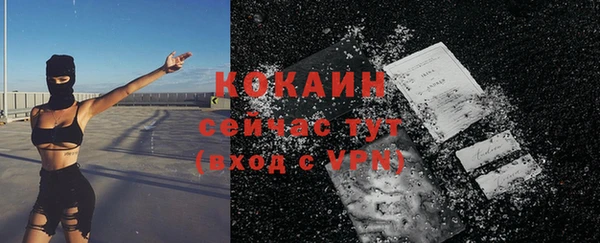 соль ск Богданович