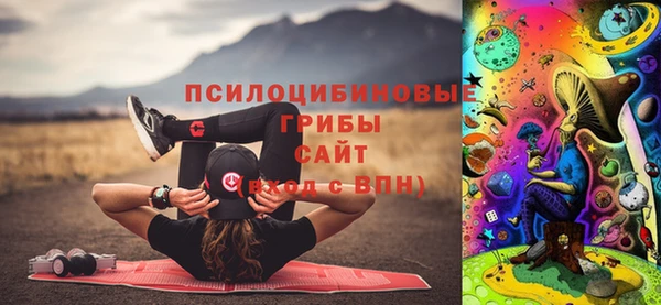 COCAINE Богородицк