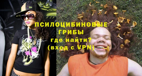 соль ск Богданович