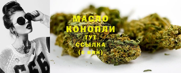 соль ск Богданович