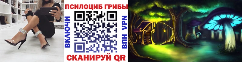 Псилоцибиновые грибы мицелий  закладки  Нерехта 